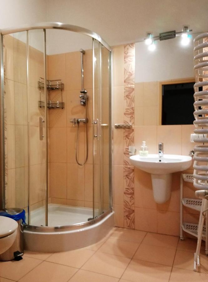 Apartament Radowid 15 W Centrum Z Basenem زاكوباني المظهر الخارجي الصورة